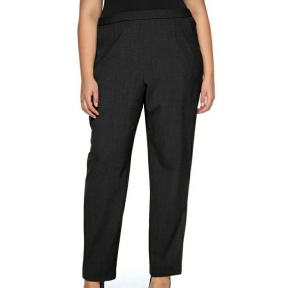 NWT- Briggs New York The Slimming Solution Pants - Picture 1 of 8